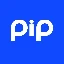 PIP图标
